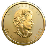 1 OZ Canadian Gold Maple Leaf