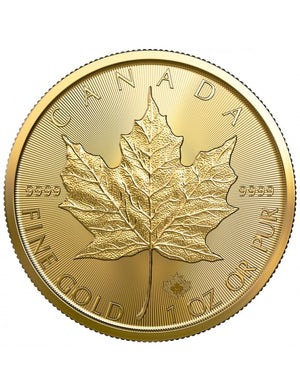 1 OZ Canadian Gold Maple Leaf